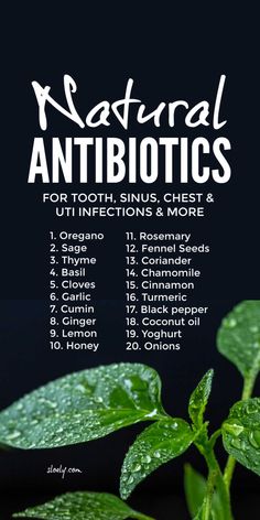 Natural antibiotics that can help ease minor tooth, throat, sinus and UTI infections plus tummy bugs, chest coughs and worms. These naturally antibiotic herbs and plants can be simply added to natural homemade remedies to help reduce antibiotic resistance. #naturalantibiotics #naturalremedies #sorethroat #toothinfection #sinusinfection Magia Das Ervas, Herbs For Health, Healing Herbs, Natural Health Remedies