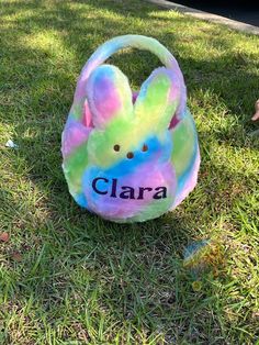 a stuffed animal with the name clara on it's back sitting in the grass