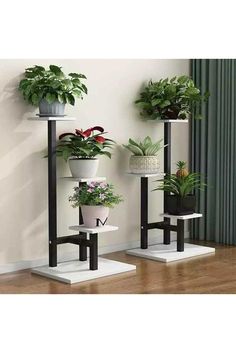 three potted plants sitting on top of stands in front of a white wall and wooden floor