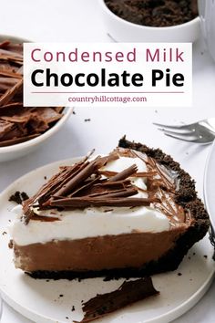 a slice of chocolate pie on a plate with the rest of the pie in the background