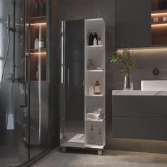 a bathroom with a shower, sink and shelves