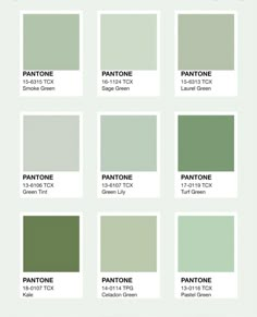 the pantone green color chart with all the colors in each section and their corresponding names