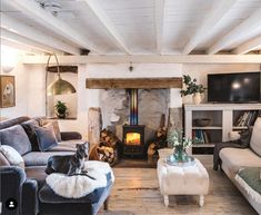 a dog sitting on a couch in front of a fire place