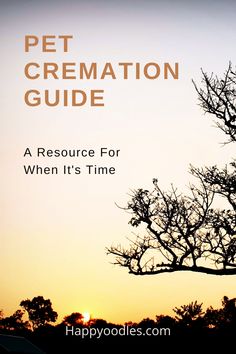 a tree with the words pet cremation guide in front of an orange sky