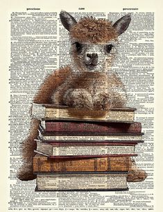 a llama sitting on top of a pile of books in front of an open book page