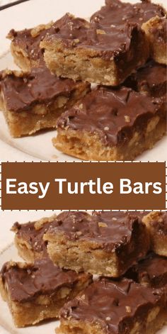 easy turtle bars with chocolate frosting on top