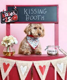 a small dog sitting on top of a wooden chair with a sign above it that says kissing booth