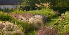 a garden filled with lots of different types of flowers and plants next to a building