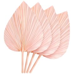 four pink fan shaped sticks on top of each other in front of a white background