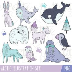 the arctic illustration set includes different animals