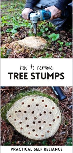 how to remove tree stumps from the ground with a drill and a circular saw