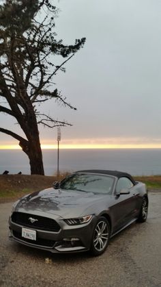 a car parked in front of a tree near the ocean