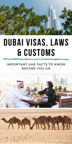 two people sitting at a table with camels in front of them and the words dubai visa