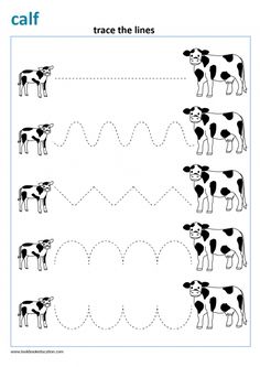 the worksheet for children to learn how to draw a cow in different ways