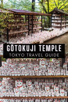 the tokyo travel guide is displayed in front of many rows of white and red objects