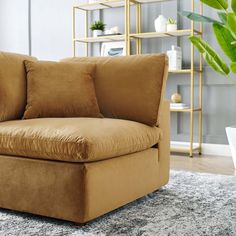 a tan couch sitting on top of a rug in a living room next to a potted plant