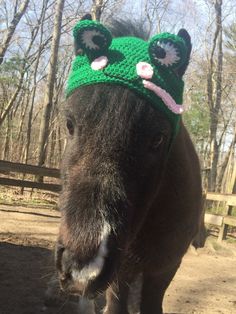 a brown horse wearing a green crocheted hat