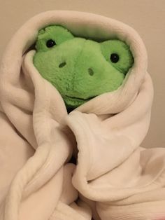 a green stuffed animal wrapped in a blanket