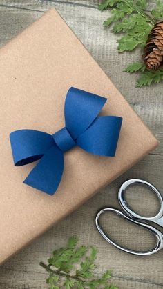 a present wrapped in brown paper with a blue bow sitting next to scissors and pine cones