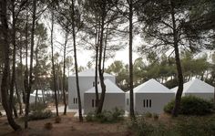 several white tents in the woods near trees