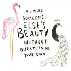 a drawing of a peacock and a flamingo with the words, a dime someone else's beauty without questioning your own