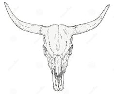 an animal skull with long horns on a white background royalty illustration