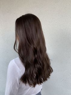 1 Color Brown Hair, Long Dark Brown Hair Cool Tone, Brown Hair Dye Over Highlights, Chocolate Brown Brunette Hair, Trendy Haircuts For Thick Long Hair, Soft Medium Brown Hair, Chocolate Brown Summer Hair, Hair Appointment Ideas, Prettiest Brown Hair Color