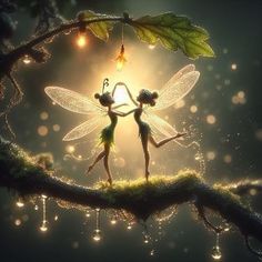 two tinkerbells are dancing on a branch with lights in the dark background