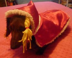 a brown dog wearing a red and white outfit on top of a bed with pink sheets