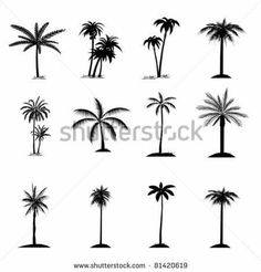 palm trees silhouettes on white background with clipping for use in graphic or web design