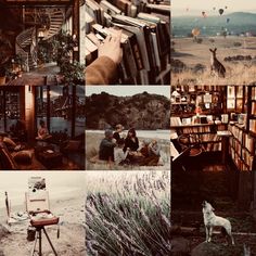 a collage of pictures with people and animals in them, including bookshelves