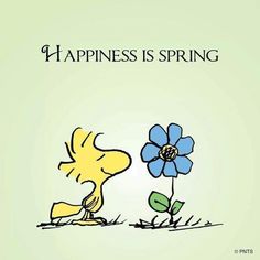 a cartoon character holding a flower with the caption happiness is spring