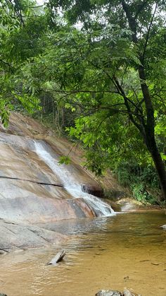 a small waterfall in the middle of a forest