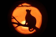 a cat is sitting on a tree branch carved into a pumpkin