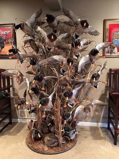 a bunch of birds that are sitting on some branches in a room with pictures behind them