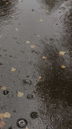 rain is falling on the ground and leaves are scattered