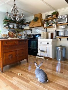 a rabbit sitting on the floor in a kitchen