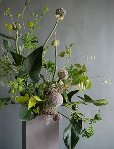 a vase filled with lots of different types of flowers next to green leaves and plants