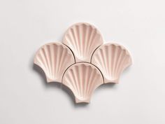 three pink scallop shells on a white surface