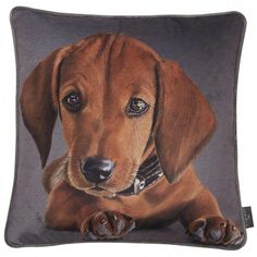 a painting of a brown dog laying down on a gray pillow with black trimmings