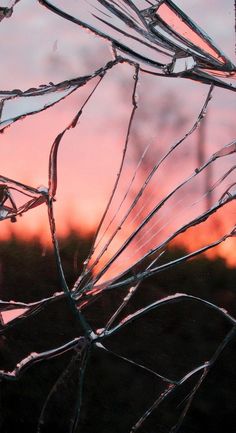 frosted branches with the sun setting in the background and a quote written on it