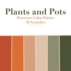 the cover of plants and pots, with oranges and browns in different shades on it