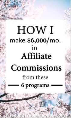 the words how i make $ 6, 000 / mo in affiate comissions from these 6 programs