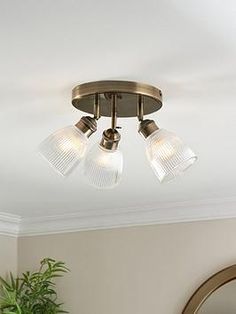 a bathroom light with three lights on the ceiling and a potted plant next to it