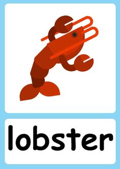 an animal with the word lobster in front of it