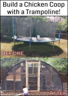 a chicken coop with a trampoline before and after