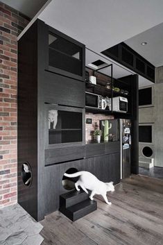 a white cat is walking up the stairs in front of a black cabinet and shelves