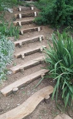 a set of wooden steps leading up to the top of a hill