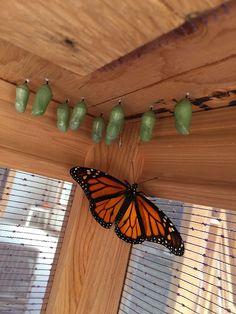 a monarch butterfly resting on the side of a window sill with green glass hanging from it's sides