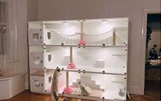 two cats are playing with toys in a room that is white and has pink decorations on the shelves